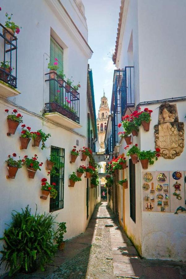 Apartment Casa Juanma Cordoba
